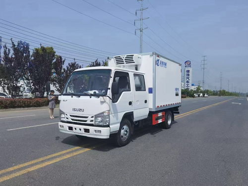 石家莊躍進(jìn)柴油版3米3冷凍車(chē) 高效環(huán)保的冷鏈運(yùn)輸選擇
